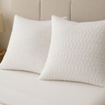 FB_IMG_1753262738499