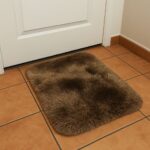 FB_IMG_1753262823438